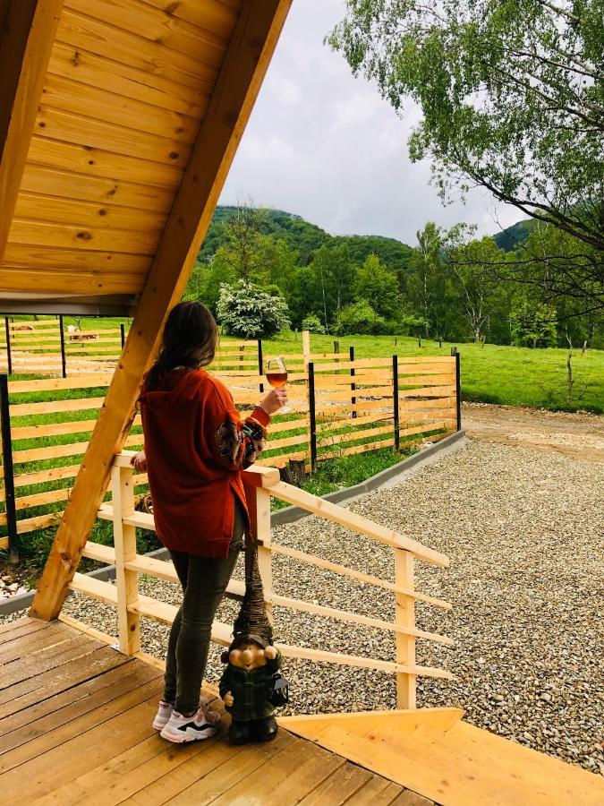 Zenith A-Frame Straja Villa Lupeni  Luaran gambar
